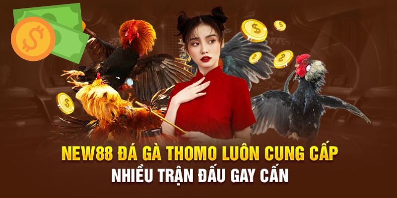 Sảnh Thomo công bằng, an toàn tuyệt đối khi cá cược