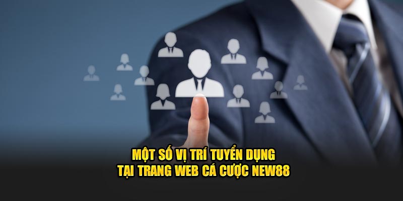 Một số vị trí tuyển dụng tại trang web cá cược New88